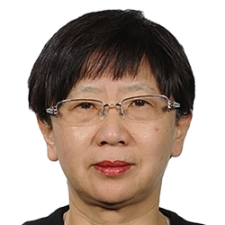 Dr. Wei Sun, Director of International Marketing, Twenty First Century Aerospace Technology (21AT), China
